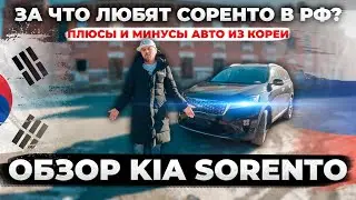 Отличная цена за отличное авто Обзор Kia Sorento из Кореи