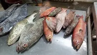 Ulam for Today