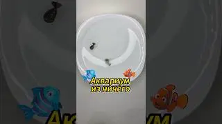 Аквариум из ничего 