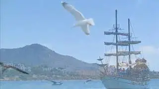 Bodrum mavilikleri