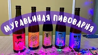 Пивоварня Ант | День Рождение 