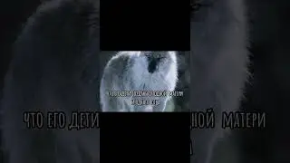 БЛАГОРОДНОЕ  ЖИВОТНОЕ... ОН НИКОГДА НЕ ЕСТЬ ПАДАЛЬ..