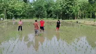 Ashar 15 Ropaai Program