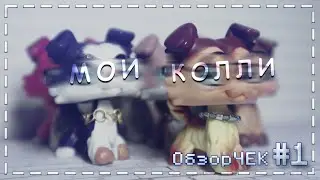 LPS - ОбзорЧЕК #1 | Обзор на всех моих колли