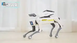 #МеханическаяСобака