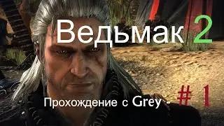 Ведьмак 2  Прохождение с Grey   # 1
