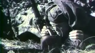 Военное Дело   Самозарядные Винтовки