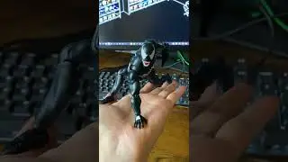Posing Mafex Venom Reissue