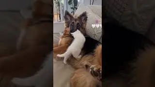 #юмор
