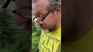 Помидоры небывалой красоты!)