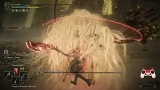 Destined Death Melina vs Consort Radahn