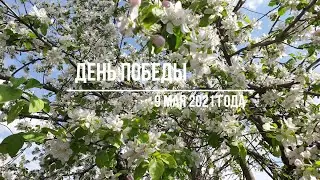 Жарим мясные рулетики из говядины к 9 мая.