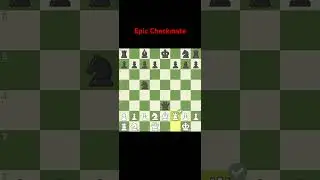 Epic Checkmate 