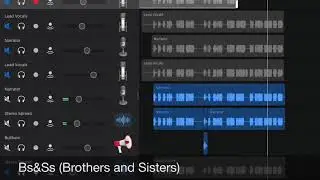 This is called: “Bs&Ss” ( Brothers and Sisters)
