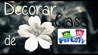 Como Decoro Mi Casa De Pet City