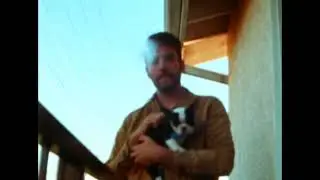 Puppy Film