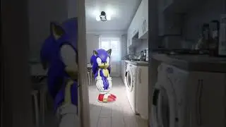 Соник EXE в реальной жизни/ SONIC.EXE in real life 