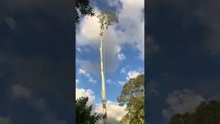 уххххх .... как он это сделал думал все пропало #shorts