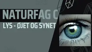Lys - øjet og synet