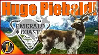 HUGE Piebald Sambar on a Banteng & Crocodile Hunt! [Early Access]