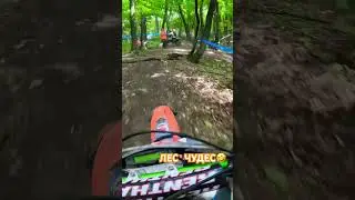 ОТКУДА ОНО ТАМ?  #bike #shorts #fail