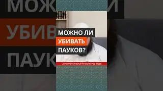 Можно ли убивать пауков? || Абу Умар Ас-Сыям