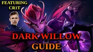 How To Play Dark Willow - Basic Dark Willow Guide