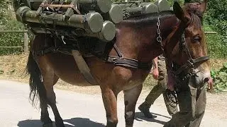 Десятка №9 Тащилок в Поинт Бланк