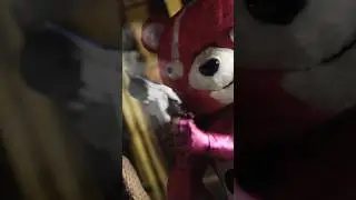 The worst way to die!