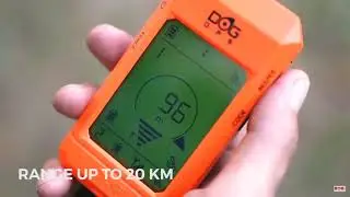 GPS ошейник DOG GPS X20 Dogtrace - promo