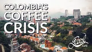 Café Real - Colombia's Coffee Crisis - A Sony Short Film.