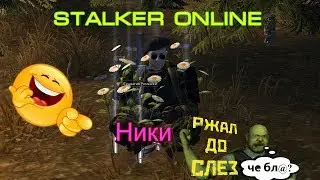 Ники в Сталкере Онлайн
