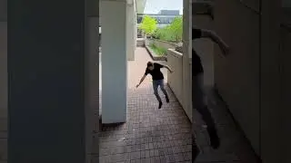 Sonic Wall Jump In Real Life 🦔