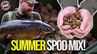 ***ULTIMATE SUMMER SPOD MIX RECIPE*** DNA BAITS | CARP FISHING | SECRET 7 | THE BUG | THE SWITCH