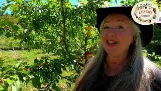 Raintree Nursery's Plum Growing Guide!