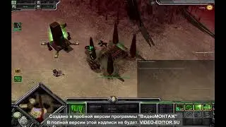 видос по довчику