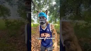 ACHEI UMA ÁRVORE DOS DESEJOS! 🌳 