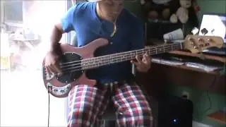 Metronomy- The look bass cover