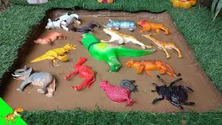 "Muddy Animal Rescue! Clean and Learn Fun Facts with Dino World TV"