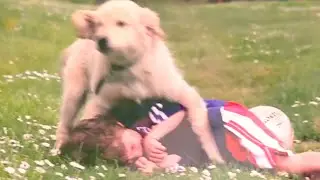 A 5-Year Old and Puppy, Their Books and Love: "Bash and Lucy" Books Trailer