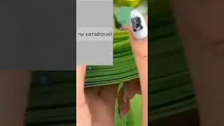Смотрим переписки с 2011😱😂😅