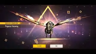 FF advance server