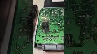 Why Your BCM Needs Immediate Replacement!