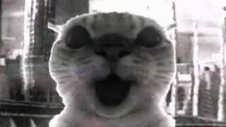 cat got nuke