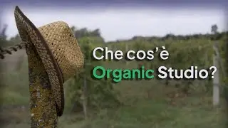 Il Futuro di ORGANIC
