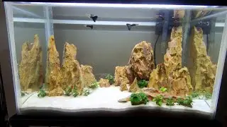 Actualización acuario 40 litros: ¡¡¡se MUDAN los Guppys!!!