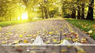 🎵 Jungle / Norimaki