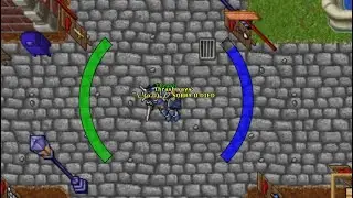 SOLO EK - TIBIA PK