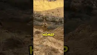 Байкеры любят животных🐈🥰 