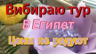 Выбираю тур в Египет 2024 март! Цены не радуют